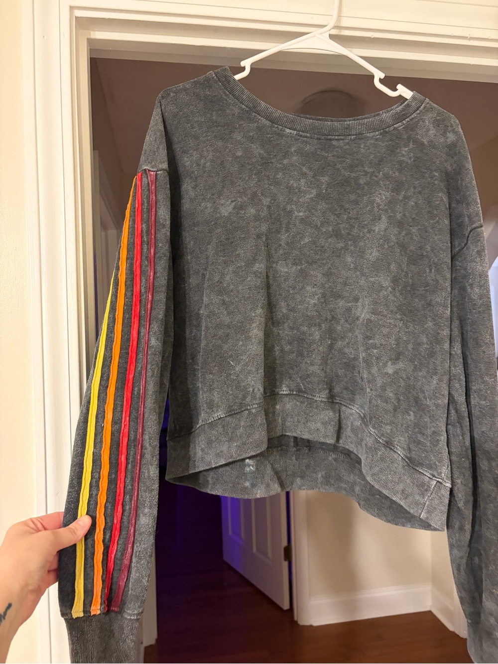 bloom Washed Gray Cropped Crewneck Sweatshirt with Multicolor Sleeve Stripes